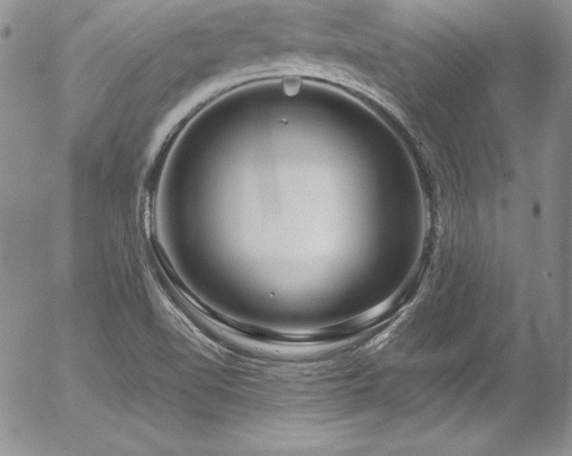 X0000054411510200507291129