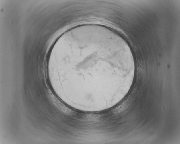 X0000054411514200507291129