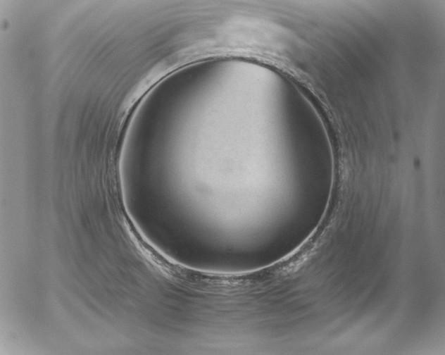 X0000054411521200507291130