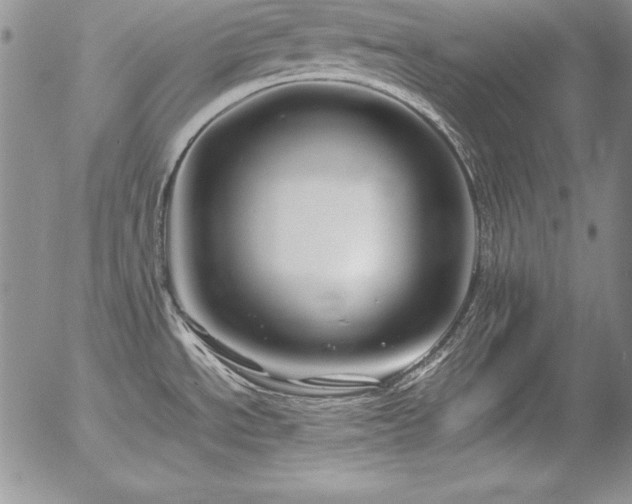 X0000054411534200507291130