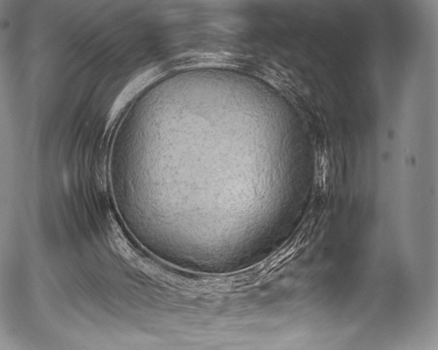 X0000054410004200508011334