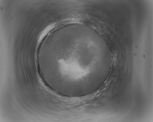 X0000054410006200508011334