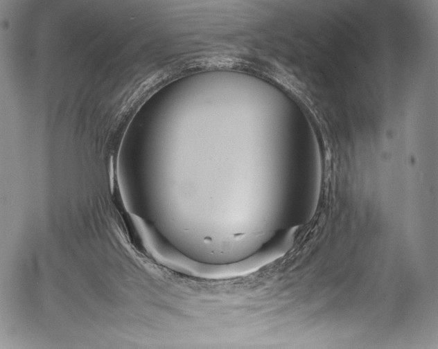 X0000054410013200508011334