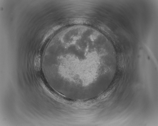 X0000054410016200508011334