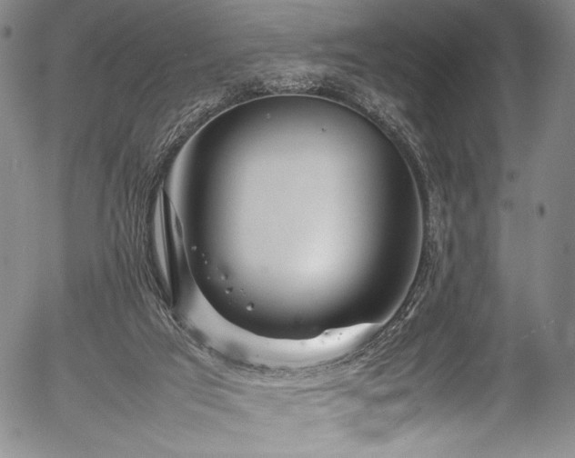 X0000054410017200508011334