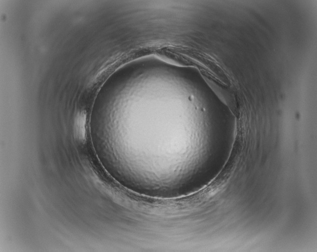 X0000054410024200508011334