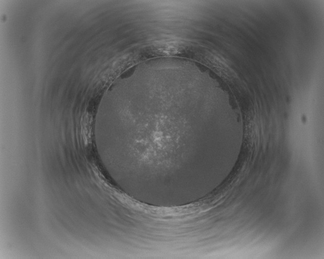 X0000054410030200508011334