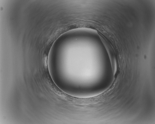 X0000054410041200508011333