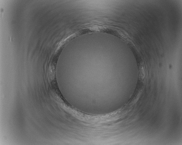 X0000054410043200508011333
