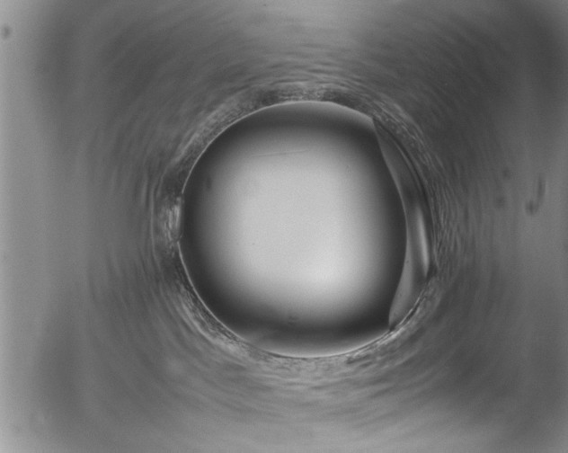 X0000054410045200508011333