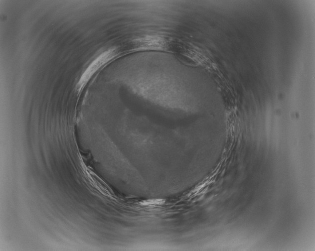 X0000054410051200508011333