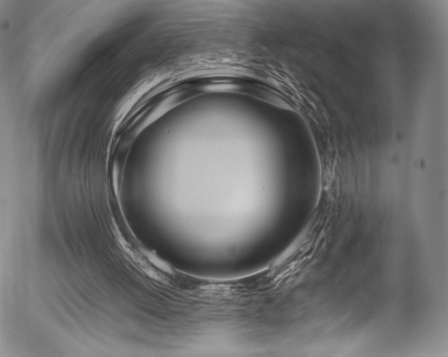 X0000054410052200508011333