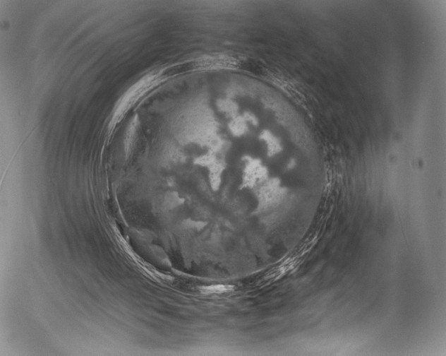 X0000054410053200508011333