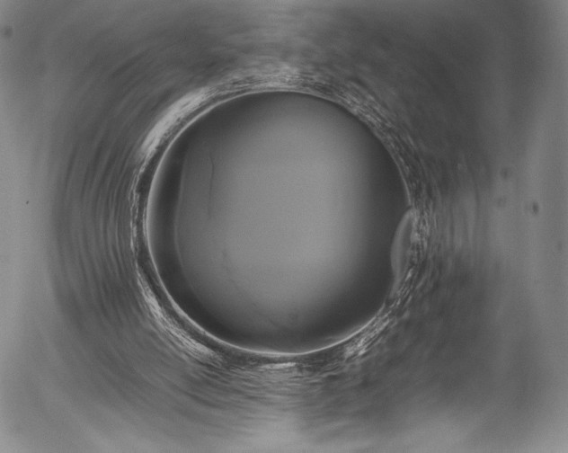 X0000054410054200508011333