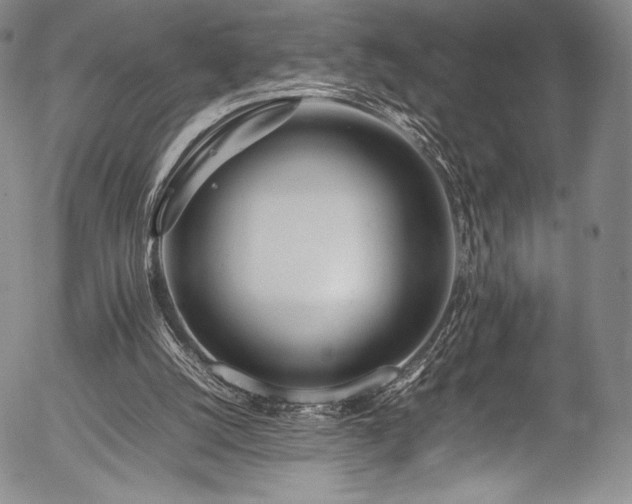 X0000054410056200508011333