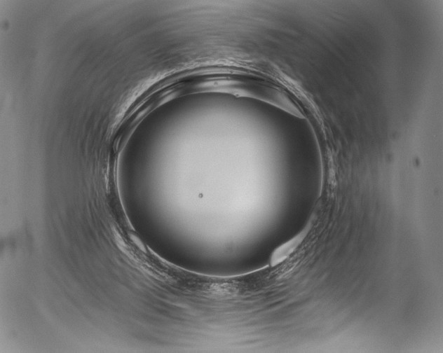 X0000054410060200508011333