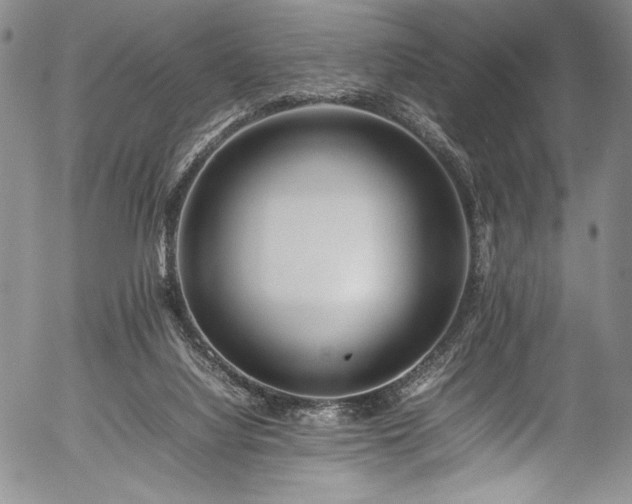 X0000054410068200508011333