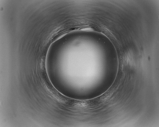 X0000054410071200508011333