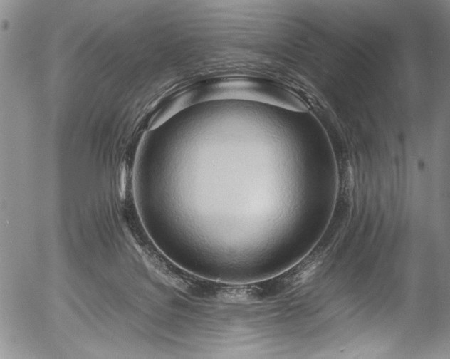 X0000054410076200508011333