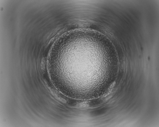 X0000054410078200508011333