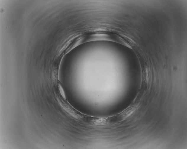 X0000054410092200508011333