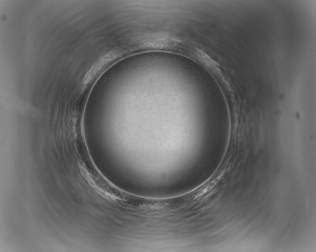 X0000054410106200508011332
