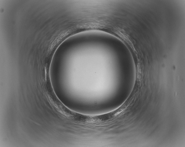 X0000054410109200508011332