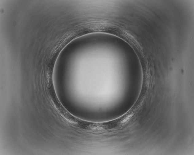 X0000054410113200508011332
