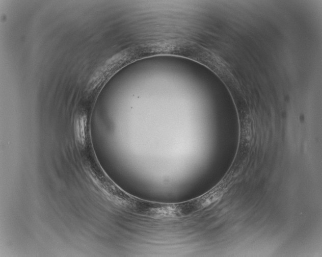 X0000054410118200508011332