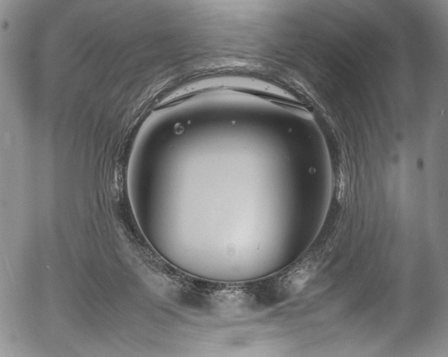 X0000054410119200508011332