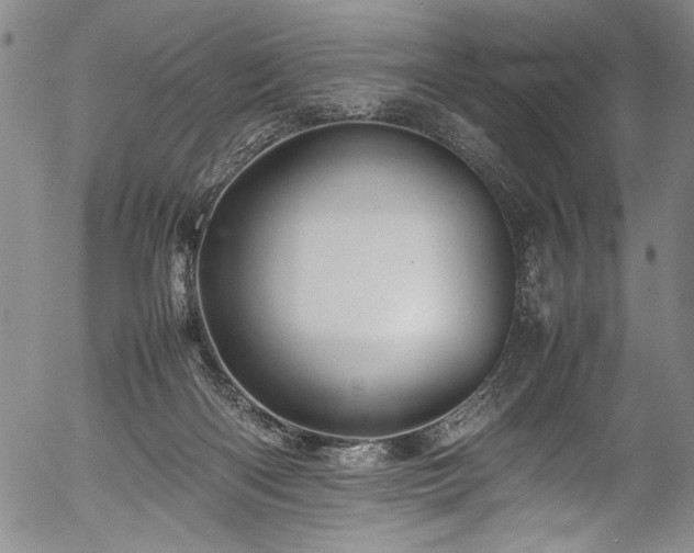 X0000054410122200508011332