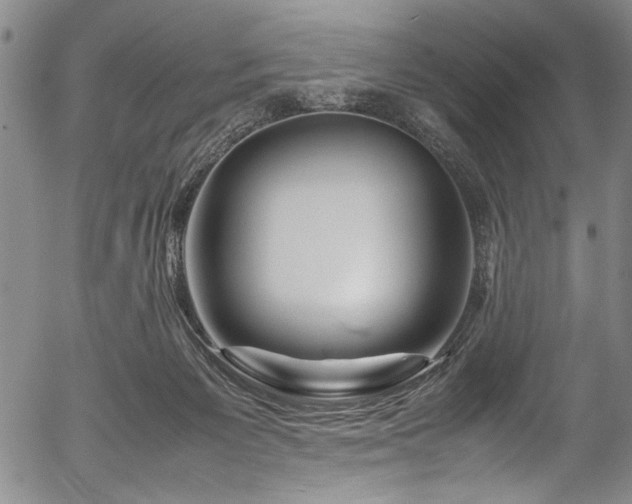 X0000054410125200508011332