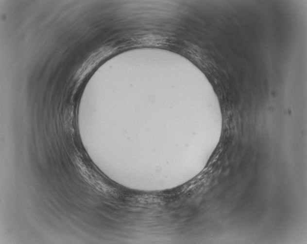 X0000054410146200508011331