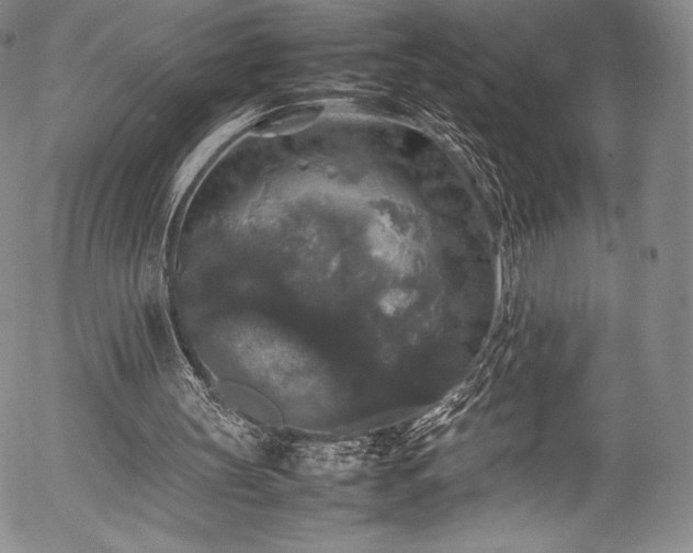 X0000054410147200508011331