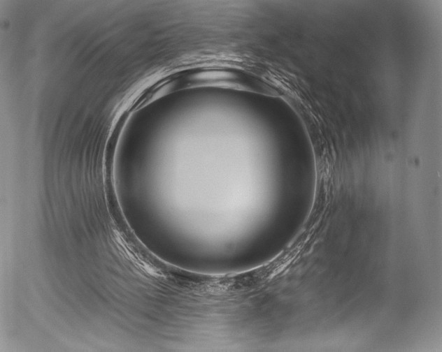 X0000054410148200508011331