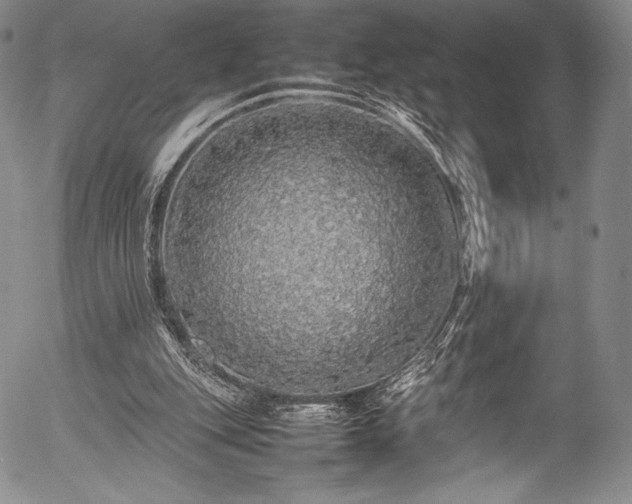 X0000054410151200508011331