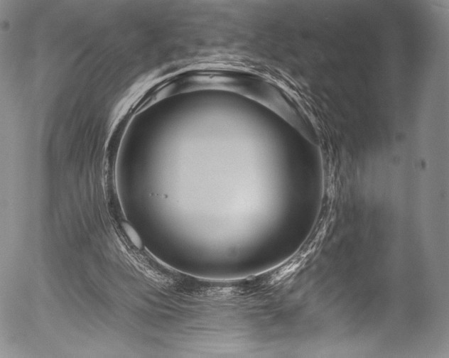 X0000054410152200508011331