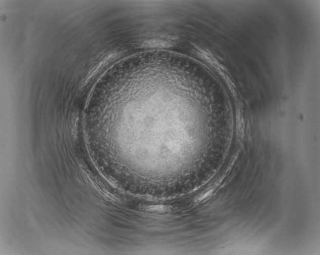 X0000054410153200508011331