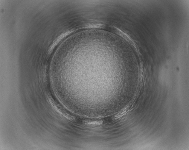 X0000054410155200508011331