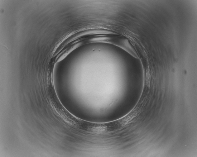 X0000054410156200508011331