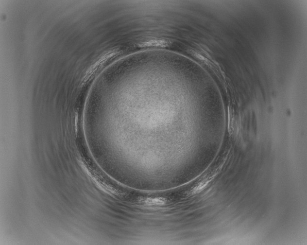 X0000054410157200508011331