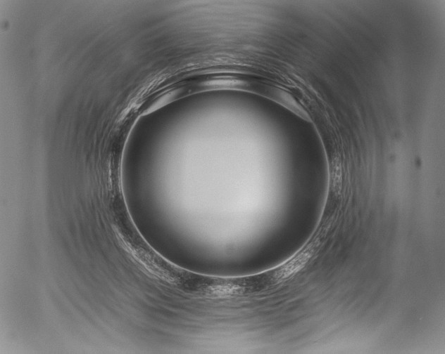 X0000054410158200508011331