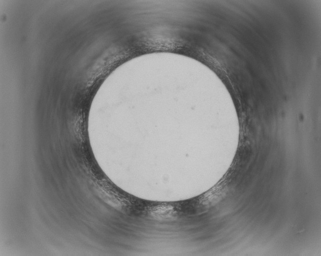 X0000054410162200508011331