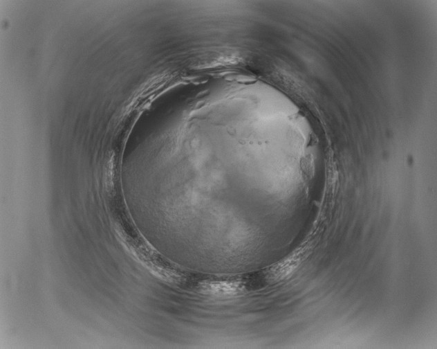 X0000054410163200508011331