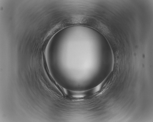 X0000054410164200508011331