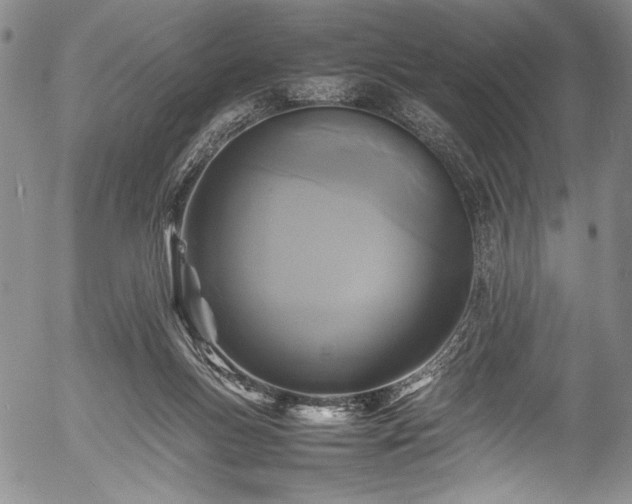X0000054410167200508011331