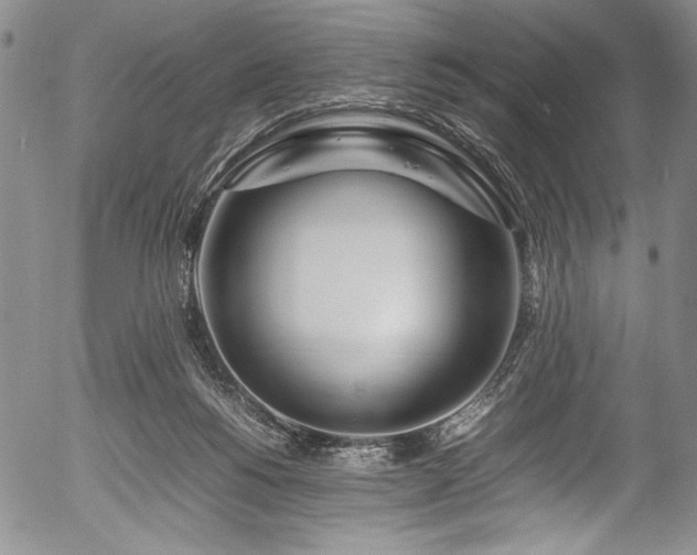 X0000054410168200508011331