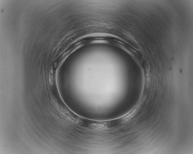 X0000054410170200508011331