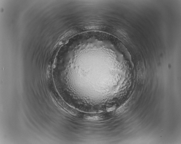 X0000054410171200508011331