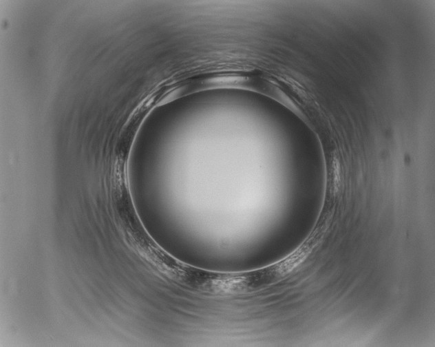 X0000054410172200508011331